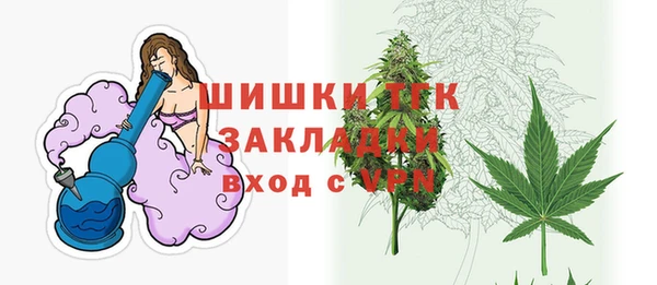 эйфоретик Инсар