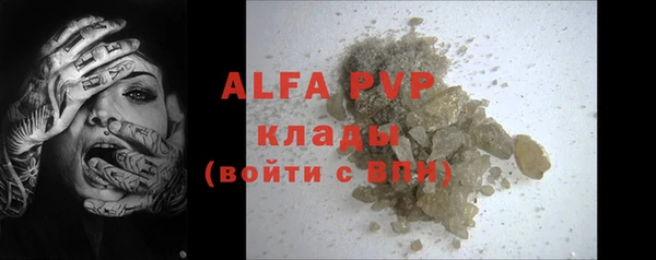 эйфоретик Инсар