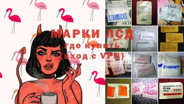 трава Инта