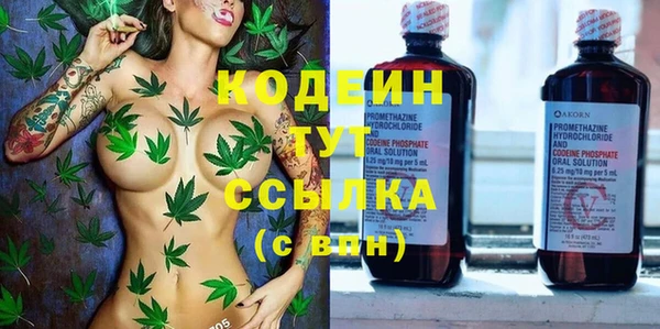 трава Инта