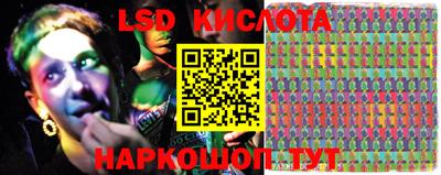 прущие грибы Конаково