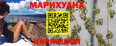 прущие грибы Конаково